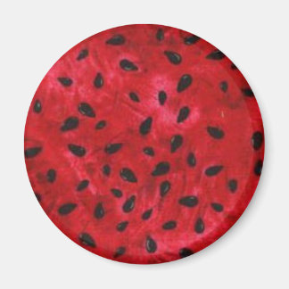 丸磁石 マグネット