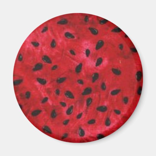 丸磁石 マグネット (正面)