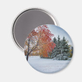 丸磁石 マグネット (正面/裏面)