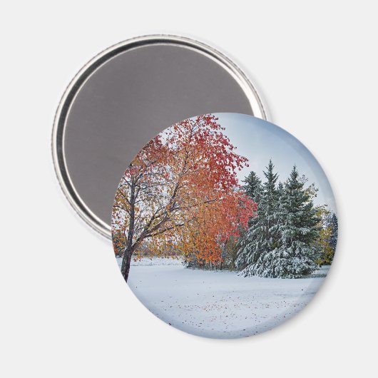 丸磁石 マグネット (正面/裏面)