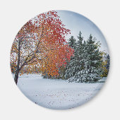 丸磁石 マグネット (正面)