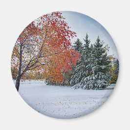 丸磁石 マグネット