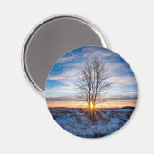 丸磁石 マグネット (正面/裏面)