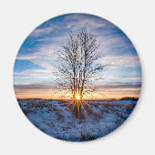 丸磁石 マグネット (正面)