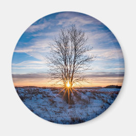 丸磁石 マグネット