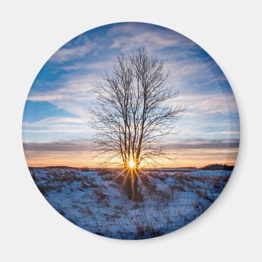 丸磁石 マグネット (正面)