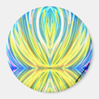 丸磁石 マグネット