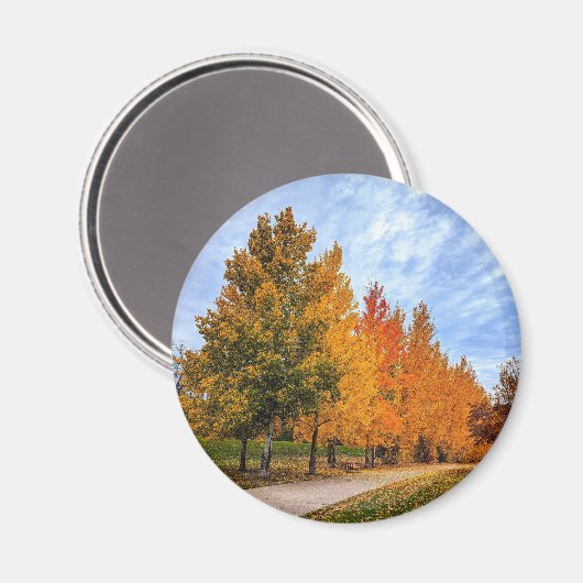 丸磁石 マグネット (正面/裏面)