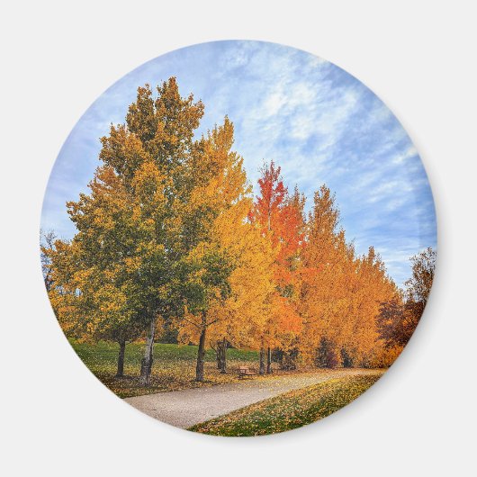 丸磁石 マグネット (正面)