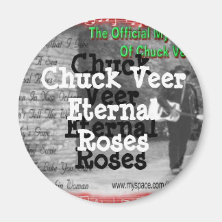 丸磁石 マグネット