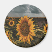 丸磁石 マグネット (正面)