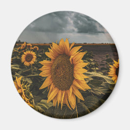 丸磁石 マグネット