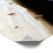 丸頭ボアラーポスター ポスター (角)