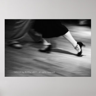 丹後！アルxswの写真 ポスター