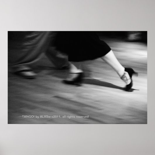 丹後！アルxswの写真 ポスター (正面)