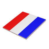 丹後 タイル (側面)