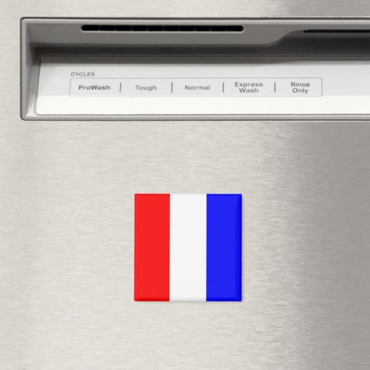 丹後 マグネット (インサイチュ (食洗機))