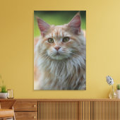 主あらいぐま猫 キャンバスプリント (インサイチュ (リビング))