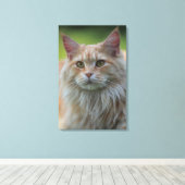 主あらいぐま猫 キャンバスプリント (インサイチュ (ウッドフロア))