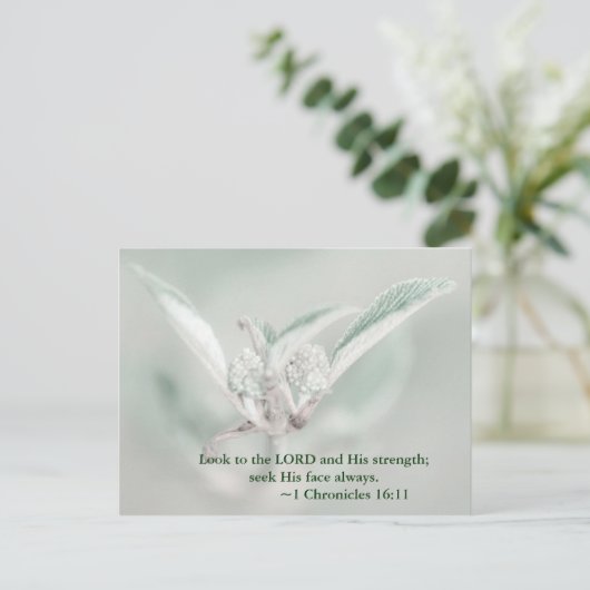 主と彼の力を見なさい。彼の顔を求めなさい。 ポストカード (スタンド正面)