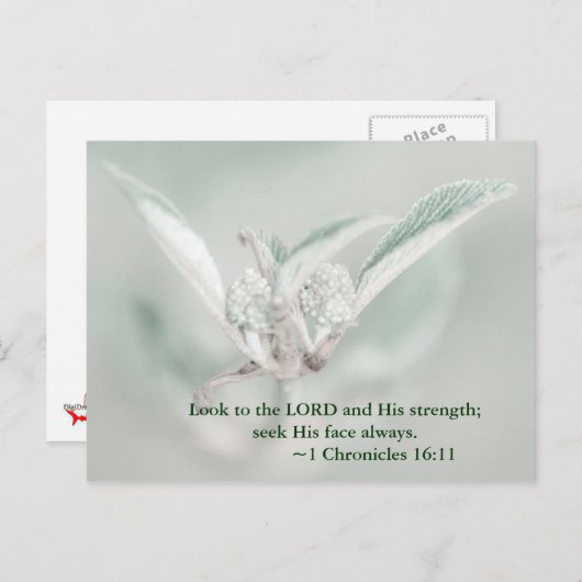 主と彼の力を見なさい。彼の顔を求めなさい。 ポストカード (正面/裏面)