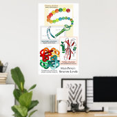 主なタンパク質構造レベルの図 ポスター (ホームオフィス)