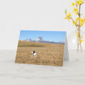 主な山モンタナ カード (黄色い花)