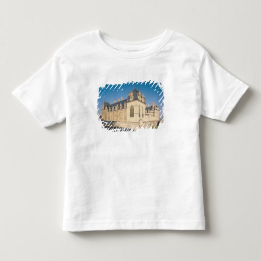主な正面および南正面 トドラーTシャツ (正面)