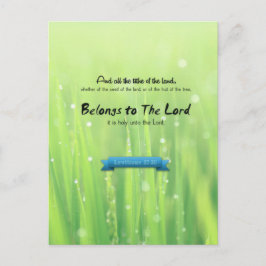 主に属する ポストカード