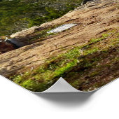 主のポスターの上で待っている者たちエレミヤ29:11 ポスター (角)