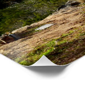 主のポスターの上で待つ聖なる書物、 経典 ポスター (コーナー)