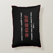 主の主 アクセントクッション (正面(垂直))