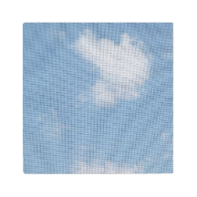 主の写真を賞賛