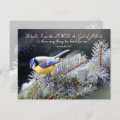 主の懸命に過ぎず ポストカード (正面/裏面)