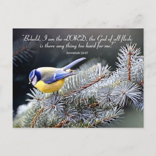 主の懸命に過ぎず ポストカード (正面)