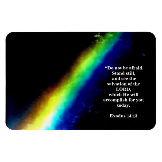 主の救い マグネット (横)