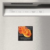 主の旋風 – 磁石 (インサイチュ (食洗機))