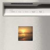 主の磁石にコミット マグネット (インサイチュ (食洗機))