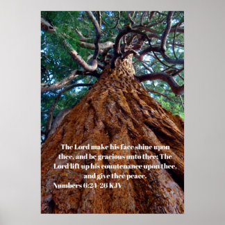 主はその顔を高揚させて輝かせる ポスター