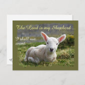 主は私の羊飼いの小さな白い羊空白の ポストカード (正面/裏面)