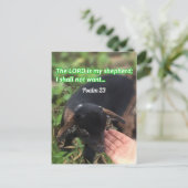 主は私の羊飼いの聖句写真 ポストカード (スタンド正面)