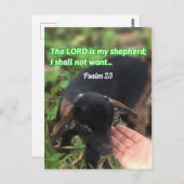 主は私の羊飼いの聖句写真 ポストカード (正面/裏面)