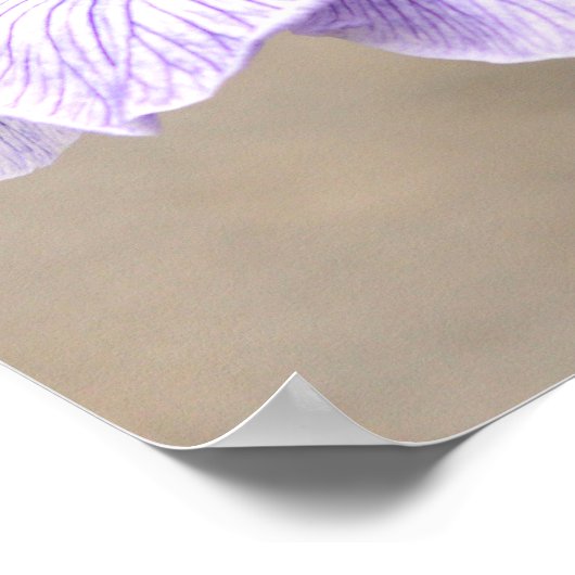 主への信頼3:5紫の虹彩フローラ ポスター (角)