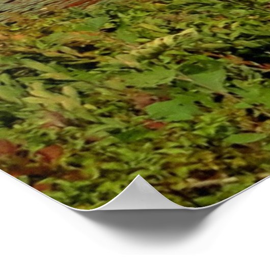 主を信頼して、秋写真クリスチャンのポスター ポスター (角)