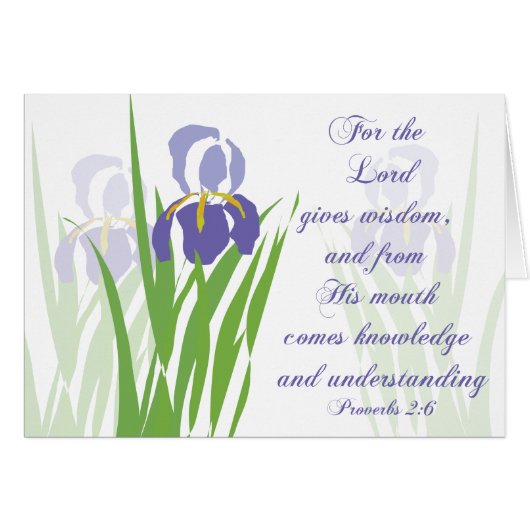 主ウィズド与えス・パラカレオ (正面横)