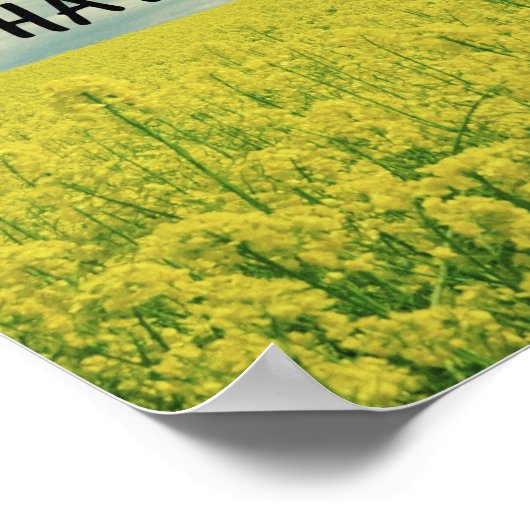 主ハトが聖書の節を作った日だ ポスター (角)