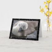 主ヨンスワンに残る カード (黄色い花)