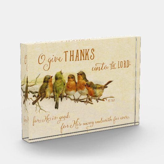 主与えに対して フォトブロック (左)