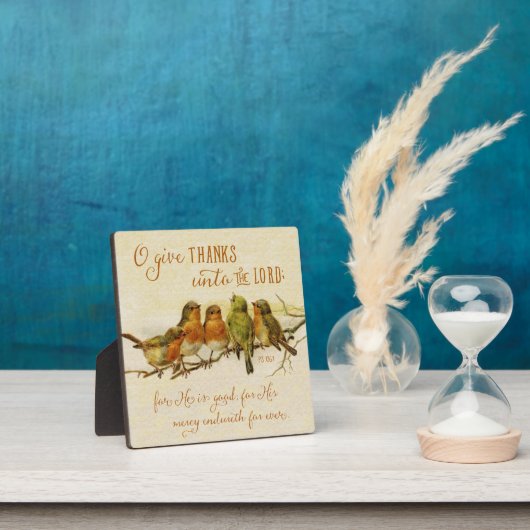 主与えに対して フォトプラーク (インサイチュ)