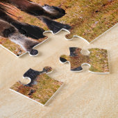 主力馬レースである ジグソーパズル (側面)